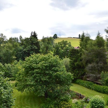 Horsky Apartman Pod Zelenou Strechou Bartosovice v Orlickych Horach ภายนอก รูปภาพ