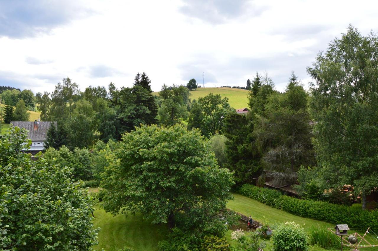 Horsky Apartman Pod Zelenou Strechou Bartosovice v Orlickych Horach ภายนอก รูปภาพ